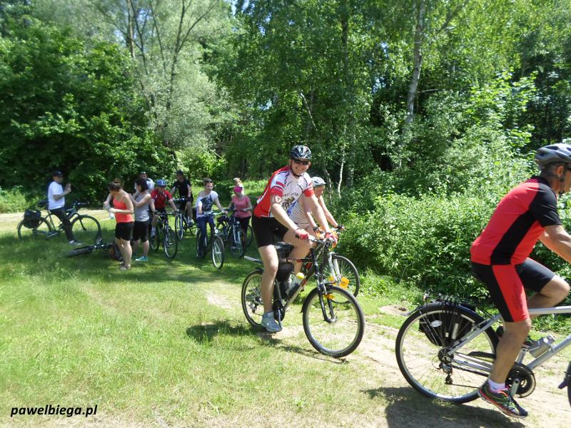 Wycieczka rowerowa do Puszczy Kampinoskiej - rowerzyści