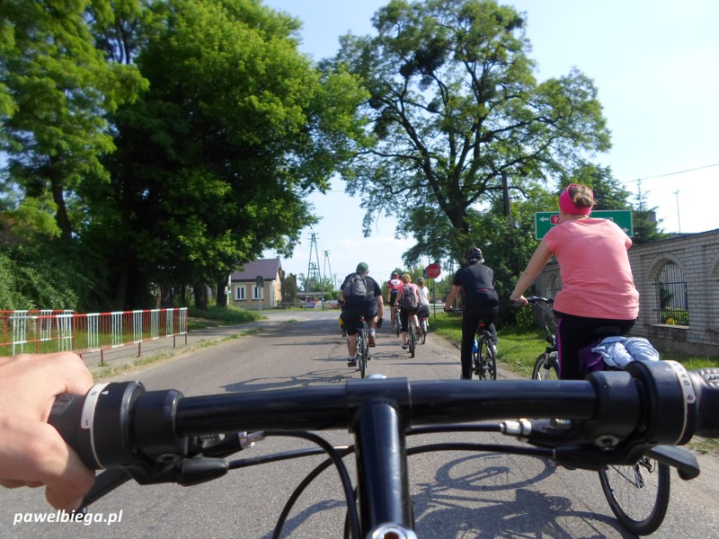 Wycieczka rowerowa do Puszczy Kampinoskiej - w Kampinosie