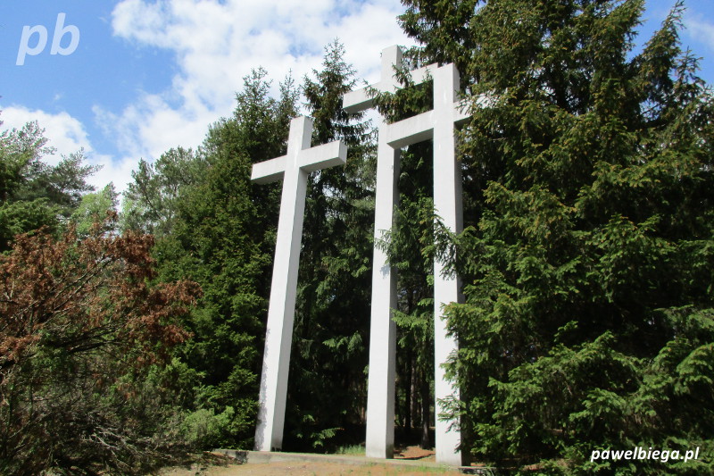 Cmentarz Palmiry - krzyże